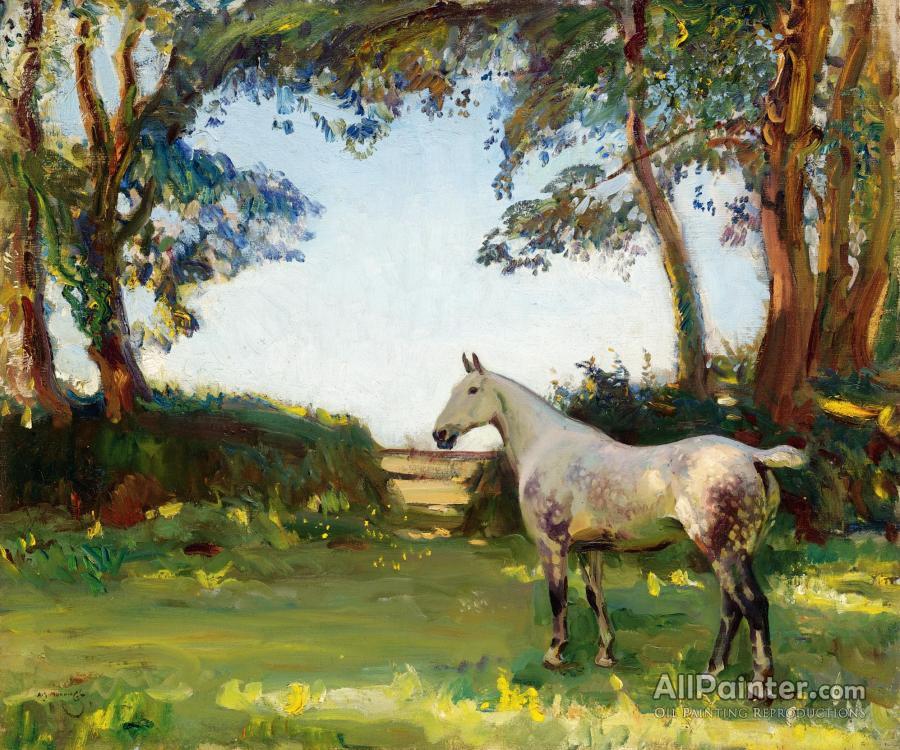 Sir Alfred James Munnings The Grey Mare Oil Painting Reproductions for ...